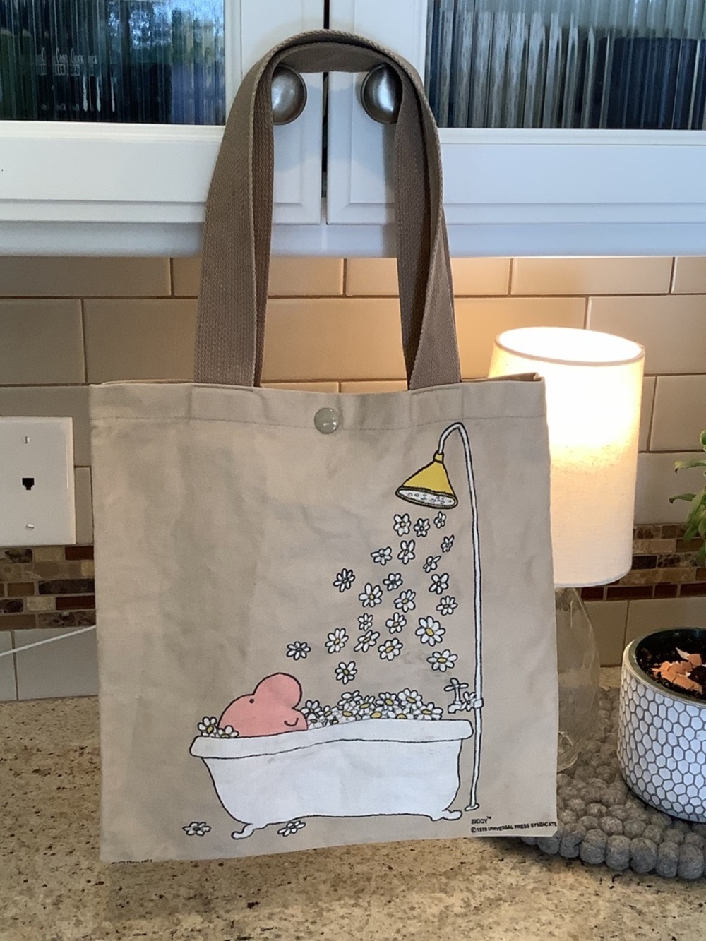 Ziggy Canvas Bathtub 1970’s Tote Bag - Beige/Tan Snap Close